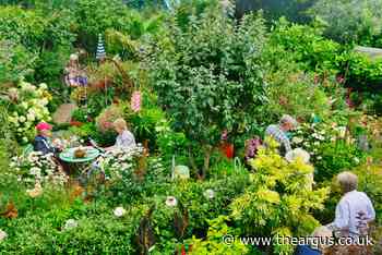 Gardens in Brighton, Seaford and Alfriston open to public