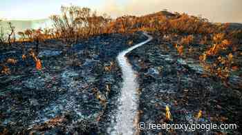 New Study Confirms 1972 MIT Study That Collapse Of Civilization Is Imminent