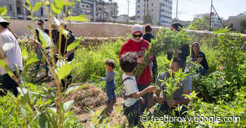 An Arts Center In Bethlehem, Right Next To The Israeli Security Wall