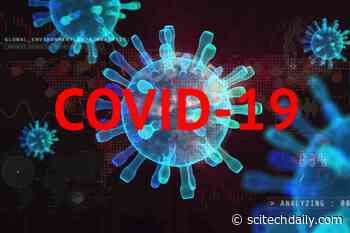 Lab Leak or Zoonotic Transfer? Leading Biologists Review COVID-19 Virus Origin Evidence