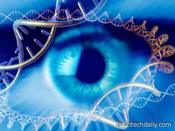 “Best Yet” – New Genetic Test for Glaucoma Is 15x More Likely to Detect High-Risk Patients
