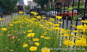 Wardle Street given green makeover by mental health charity
