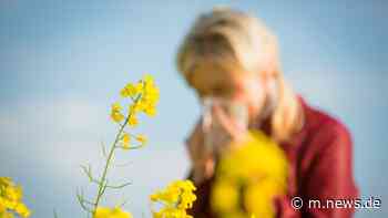Biowetter Augsburg heute: Pollenflug und Symptome bei Wetterfühligkeit aktuell am 17.07.2021 - news.de