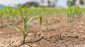 As Minnesota's drought worsens, Walz reaches out to the USDA for aid