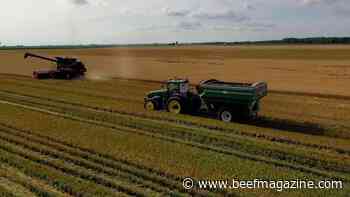 This Week in Agribusiness, July 17, 2021