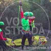 Solofra, fa perdere le proprie tracce: trovato aggrappato ad albero - Voce di Strada