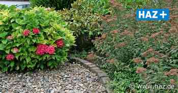 Hemmingen: Rat Hemmingen beschließt neue Regelung für Schottergärten - Hannoversche Allgemeine