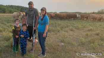 Already battered by drought, Manitoba cattle farmers could face even worse conditions