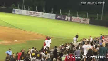 Baseball players and fans brawl at NJ Jackals $1 Beer Night