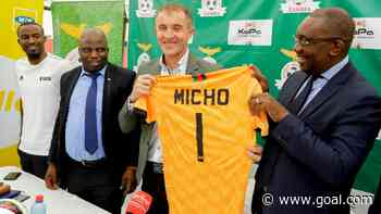 Cosafa Cup: Zambia part ways with Sredojevic after early exit