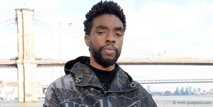 Chadwick Boseman Was Going To Star in a Sequel to 'L.A. Confidential'