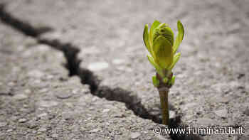 Rapporto Ispra "Consumo di suolo: dinamiche territoriali e servisi ecosistemici - Edizione 2021" - Ruminantia