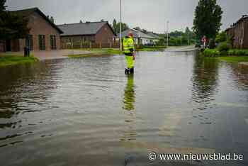 Ook in Hulst wateroverlast: “Toiletwater spuit alle kanten uit” - Het Nieuwsblad