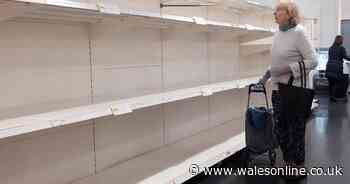 Fears food could run out because of mass isolation this summer - Wales Online