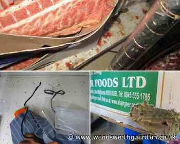 FILTHY South London butchers shut down for selling mouse-infested food - Wandsworth Guardian