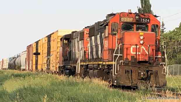 Grass fire forces train to stop on tracks in southeast Calgary