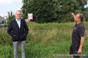 Fruittelers vrezen grote schade na bres in dijk Demer: “Oogst voor dit jaar kan verloren gaan”
