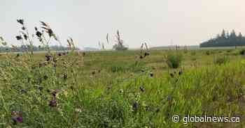 Ground penetrating radar search begins at former Saskatchewan residential school