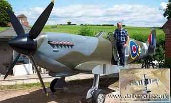 Man builds model Spitfire in his back garden for £4,500