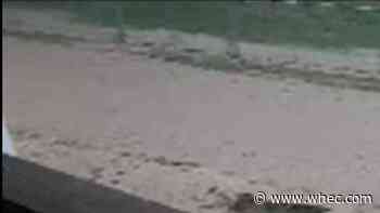 Soggy Saturday makes muddy mess along Honeoye Lake