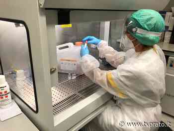 Covid: stabili i nuovi casi a Prato, mentre a livello regionale si assiste ad una crescita - tvprato.it