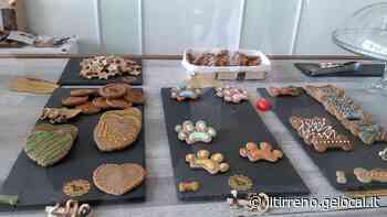 A Montemurlo apre una pasticceria per cani - Il Tirreno