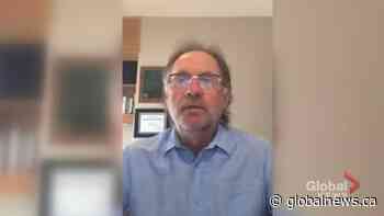 Professional soccer coming to Saskatoon or Regina, or both: future owner | Watch News Videos Online - Globalnews.ca