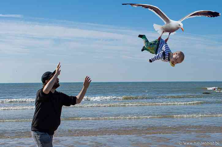 Vlaamse papa scoort wereldwijd door zijn kinderen elke dinsdag ‘slecht op te voeden’