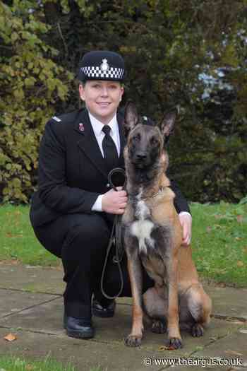Retired Sussex police dog nominated for top service award