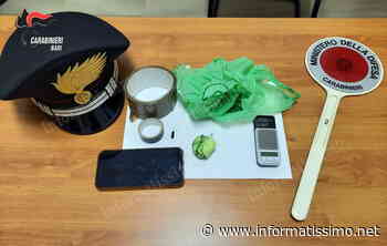 Putignano - Nascondeva la droga nel mezzo per trasporto farmaci - Putignano Informatissimo