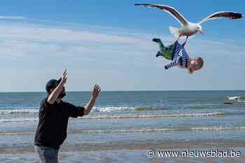 Vlaamse papa scoort internationaal met hilarische photoshop van zijn twee kinderen