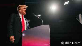 The Memo: Trump is diminished, but hasn't faded
