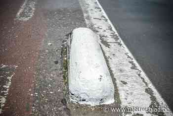 Fietsster valt over varkensrug - Het Nieuwsblad