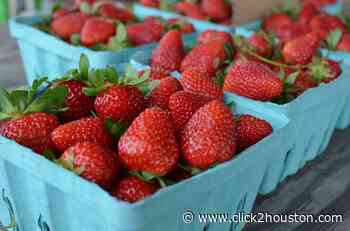 LIST: Find the freshest produce at these local Houston farmers markets - KPRC Click2Houston - KPRC Click2Houston