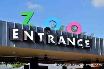 Houston Zoo named one of the best in the country - KPRC Click2Houston
