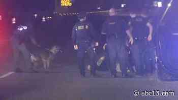 High-speed chase in stolen rental car spanned across 5 Houston-area counties - KTRK-TV