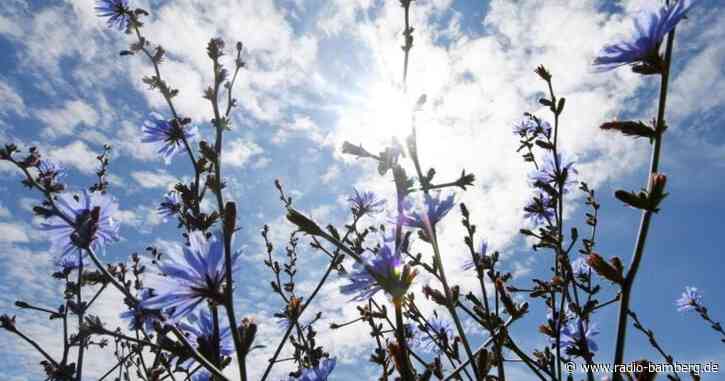 Hoch «Dana» verringert zumindest zeitweise Unwettergefahren