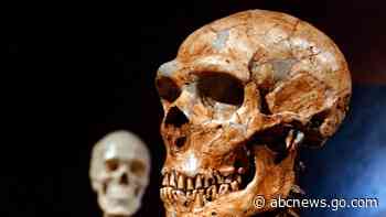 Just 7% of our DNA is unique to modern humans, study shows