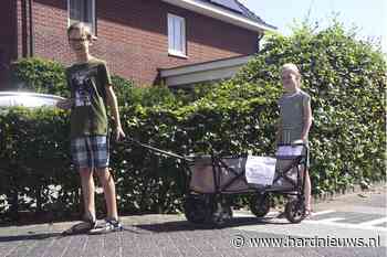 Niels (10) en Mirte (7) halen geld op voor Limburg - Hardnieuws