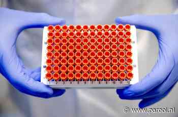 Live | Amsterdammers kunnen zonder afspraak eerste vaccinatie halen - Parool.nl