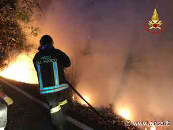 Vasto incendio devasta boschi sulle alture di Voltri - Agenzia ANSA