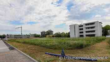 Verde all’asta, alzata di scudi Pd e comitati attaccano Marcon - La Tribuna di Treviso