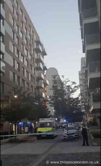 Greenwich Peninsula: Police on scene where woman fell to death