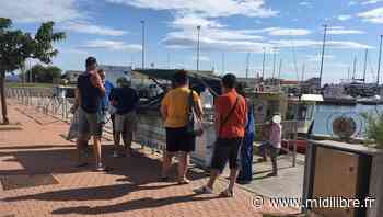 Frontignan : pendant l'été, les petits métiers de la pêche retrouvent leur place de vente dans le port - Midi Libre