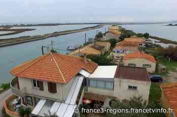 Hérault : victoire judiciaire pour les cabaniers des Aresquiers près de Frontignan qui ne seront pas expulsés - France 3 Régions