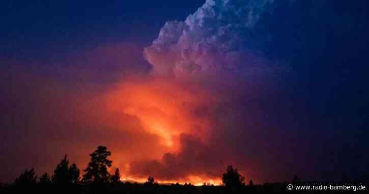Waldbrand im US-Nordwesten fast 1200 Quadratkilometer groß