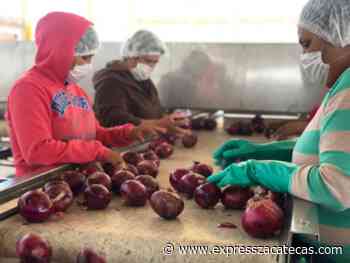 Cumplió Tello con financiamiento a agricultura de negocios - Express Zacatecas