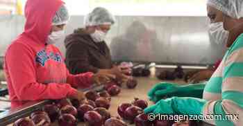 Alejandro Tello otorga financiamiento para la agricultura de negocios - Imagen de Zacatecas, el periódico de los zacatecanos