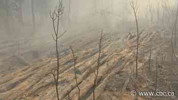 160 active wildfires reported in Sask., most of province remains under heat warning, air quality advisory