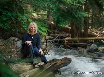 Finding the Mother Tree: ecologist Suzanne Simard offers solutions to B.C.’s forest woes - The Narwhal